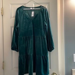 Gap, green velvet dress. With tags, never worn.
